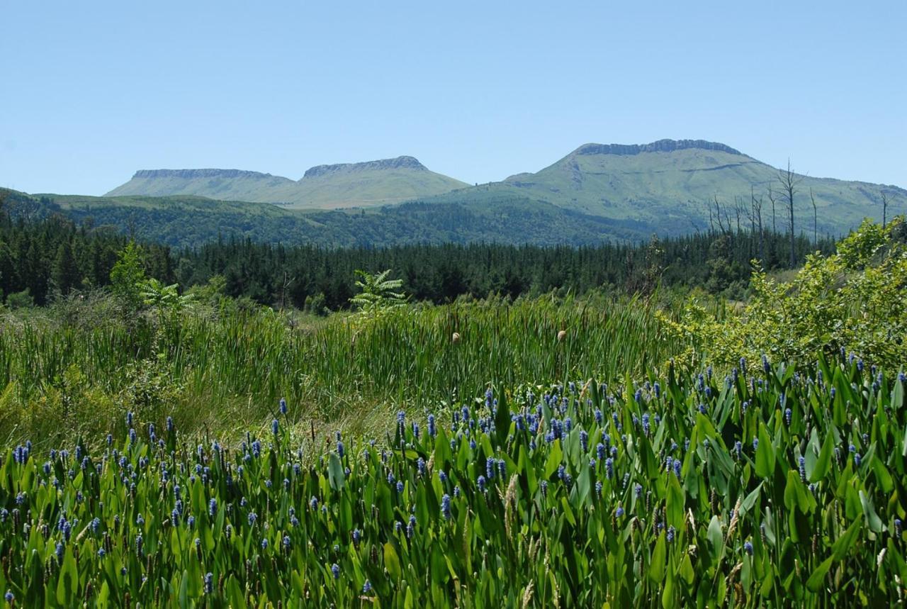 Kings Lodge Hotel Hogsback Bagian luar foto