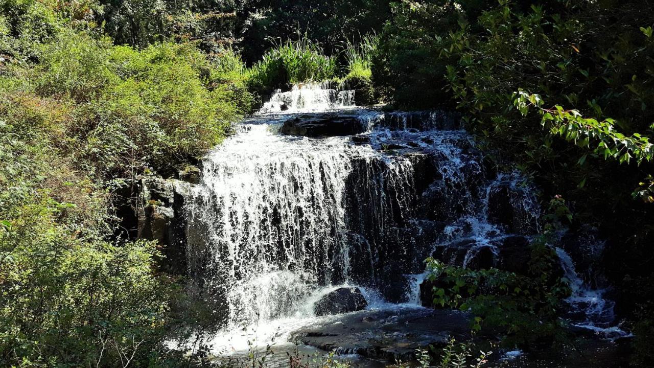 Kings Lodge Hotel Hogsback Bagian luar foto