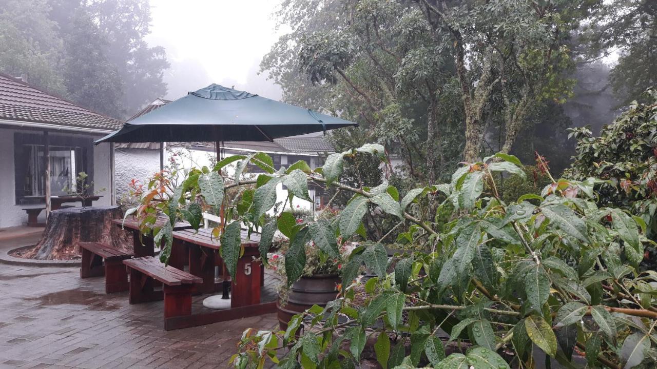 Kings Lodge Hotel Hogsback Bagian luar foto