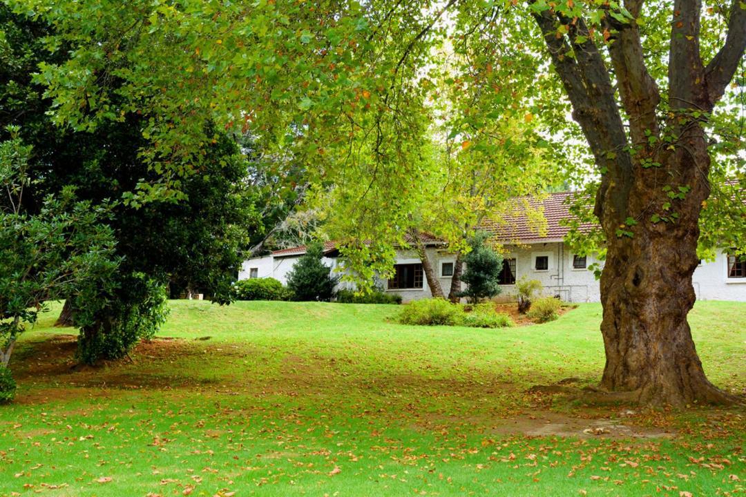 Kings Lodge Hotel Hogsback Bagian luar foto