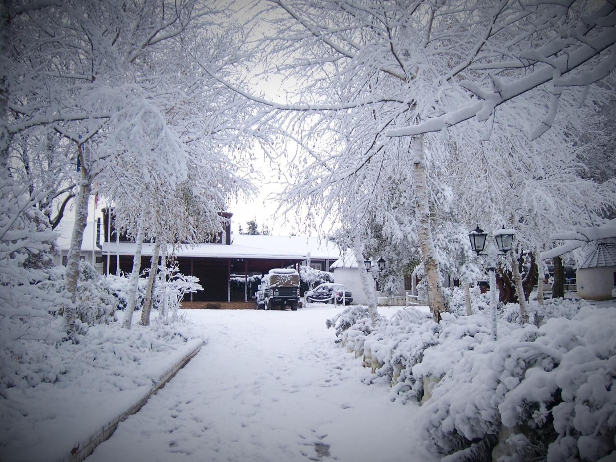 Kings Lodge Hotel Hogsback Bagian luar foto