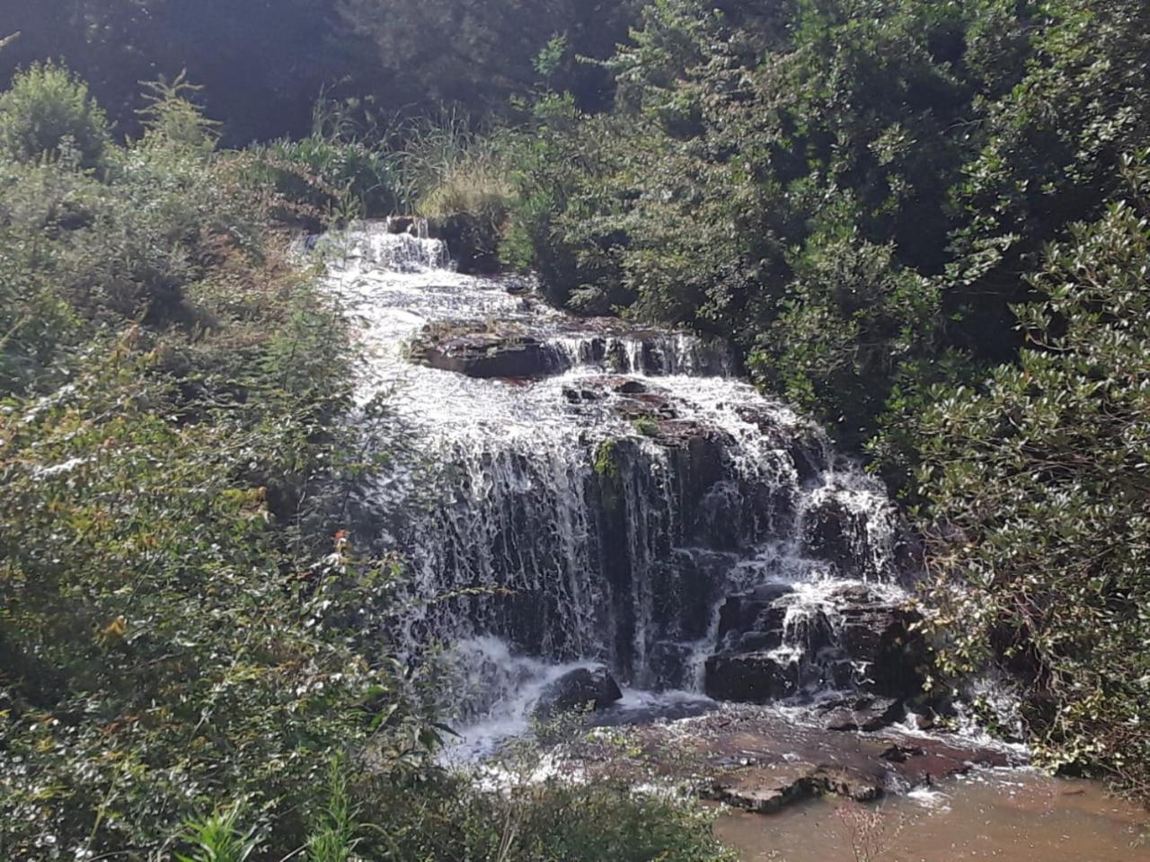 Kings Lodge Hotel Hogsback Bagian luar foto
