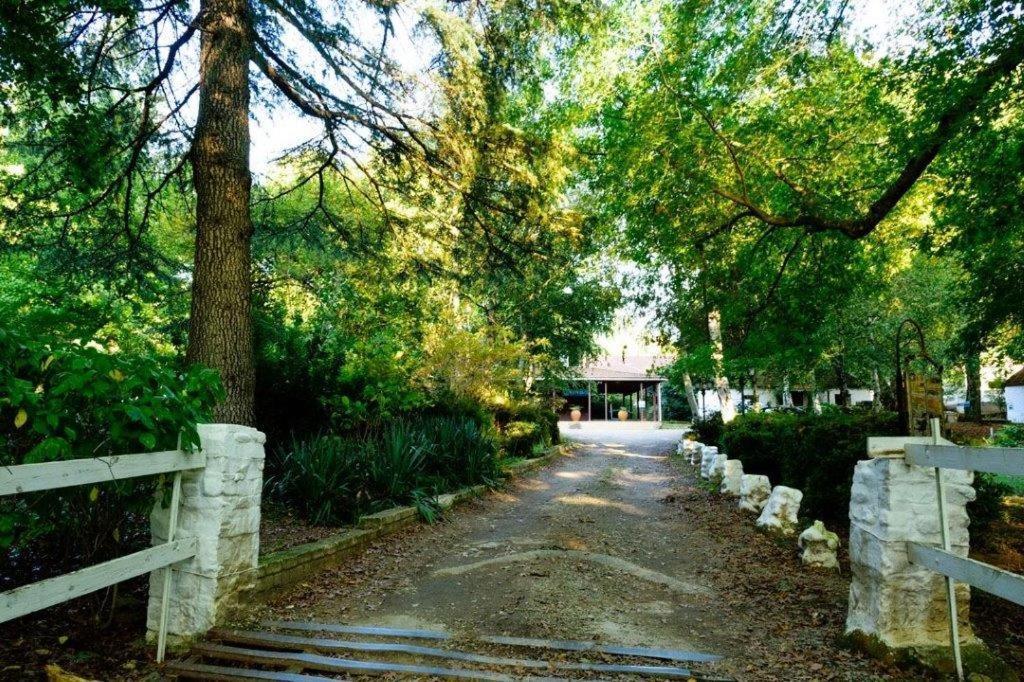 Kings Lodge Hotel Hogsback Bagian luar foto