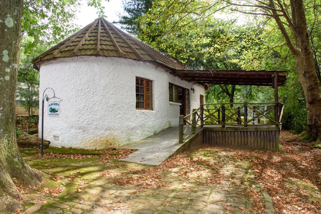 Kings Lodge Hotel Hogsback Bagian luar foto