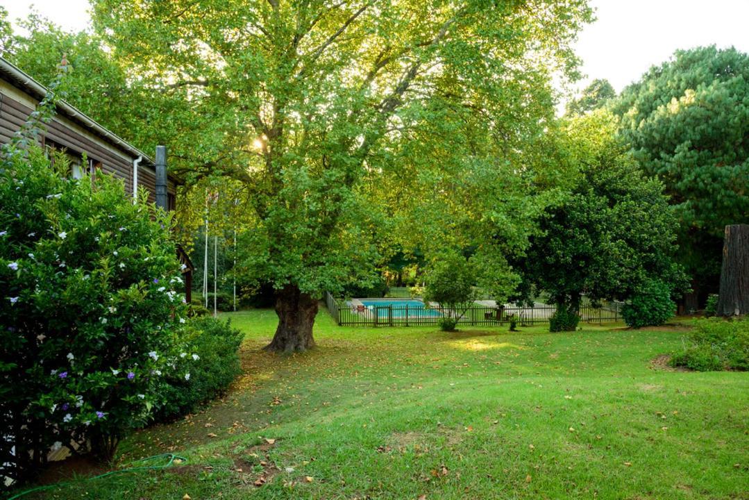 Kings Lodge Hotel Hogsback Bagian luar foto