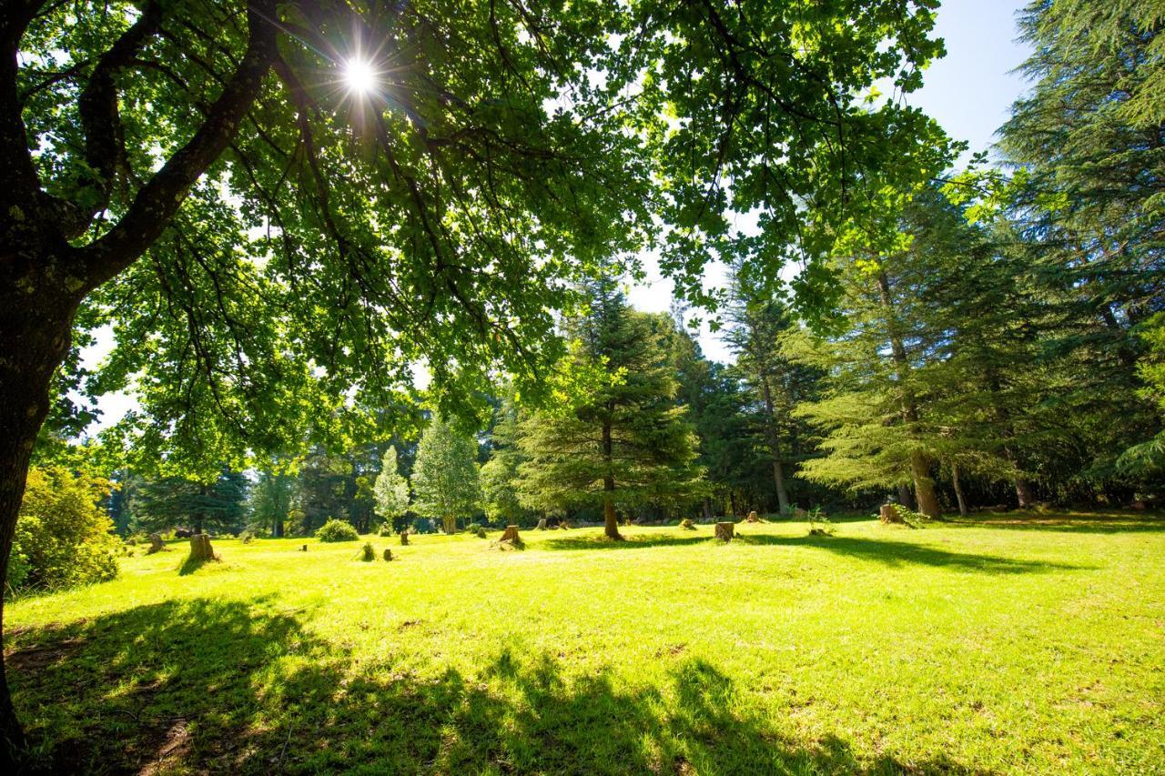 Kings Lodge Hotel Hogsback Bagian luar foto