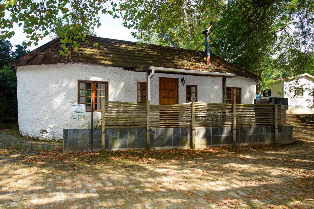 Kings Lodge Hotel Hogsback Bagian luar foto