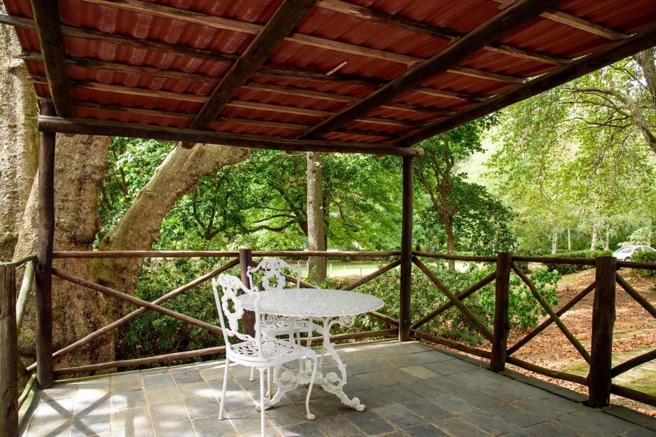 Kings Lodge Hotel Hogsback Bagian luar foto